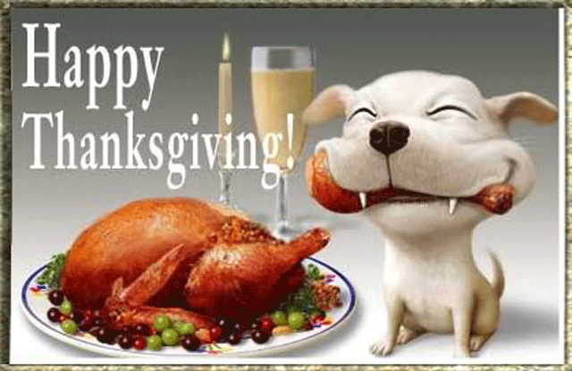 Animated Thanksgiving Pictures
