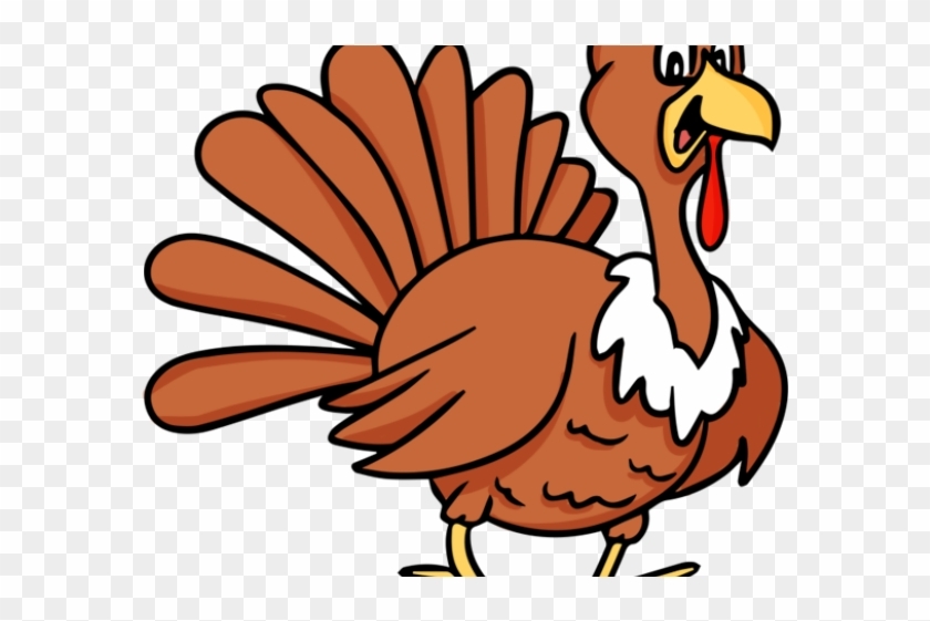Animated Turkey Pictures