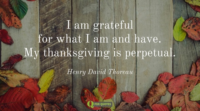 Happy Thanksgiving Gratitude Photos