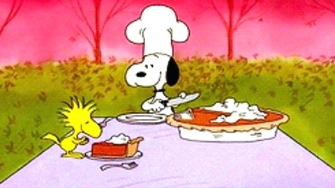 Happy Thanksgiving Pictures Snoopy