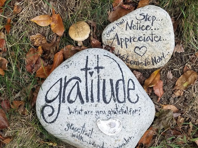 Thanksgiving Gratitude Photos